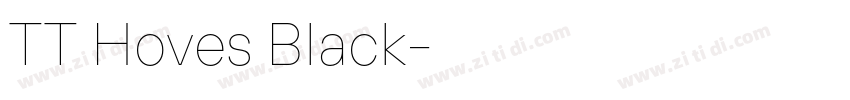 TT Hoves Black字体转换
